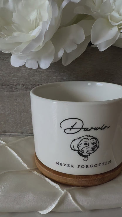Pet Memorial Succulent Pot